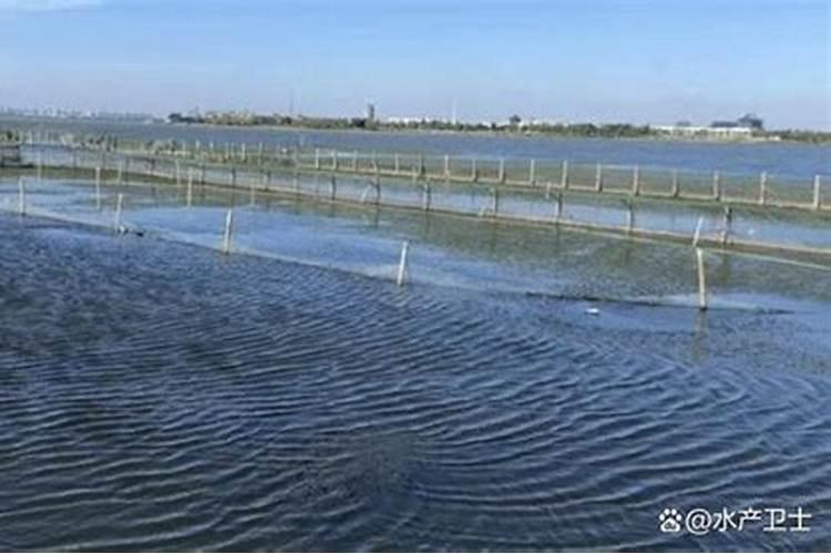 若蟹池总碱度和总硬度处于低水平该怎么进行调整？