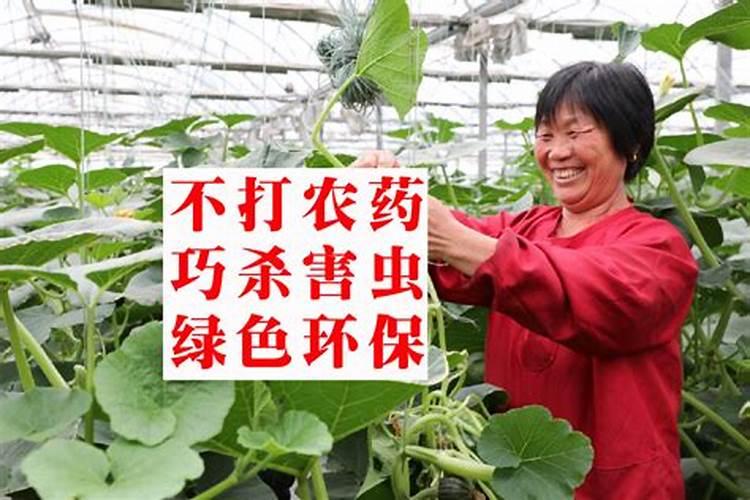 脲铵氮肥可以用于土豆吗 有什么好处