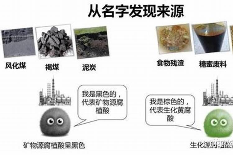 一亩地玉米究竟要施多少化肥
