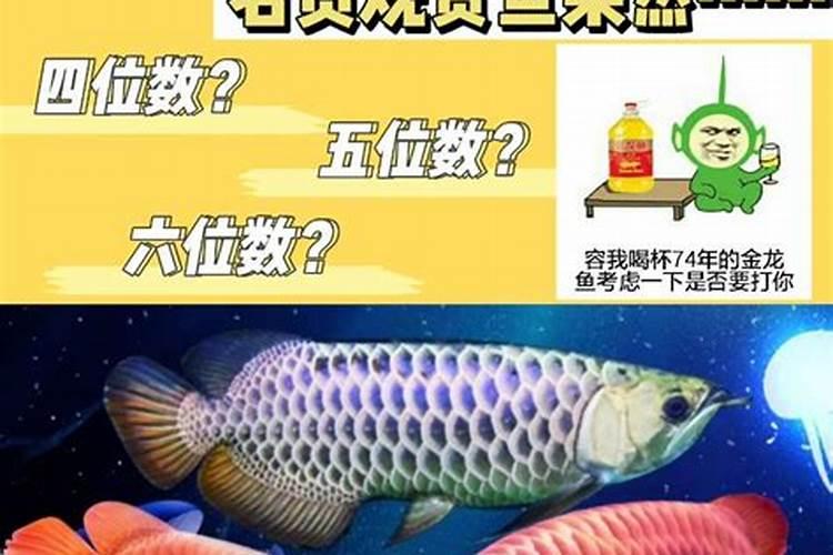 桃树地啥时候用鱼蛋白好