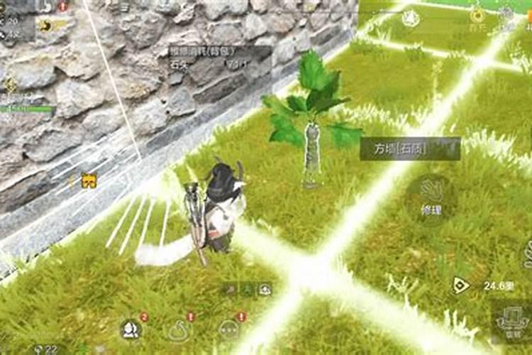 妄想山海农田肥力等级详解,各级所需肥力与种植策略探讨