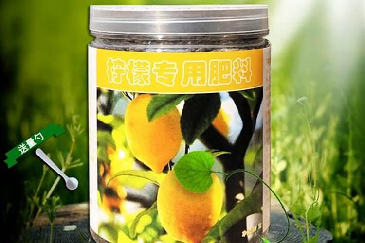 柚子用什么肥料最好？蜜柚施什么肥比较好？