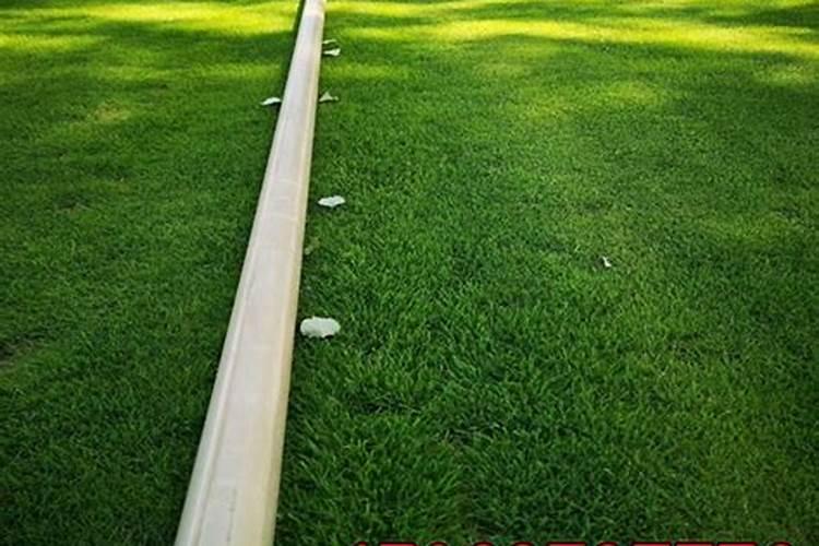 有机肥一亩用多少公斤  40公斤有机肥多少钱