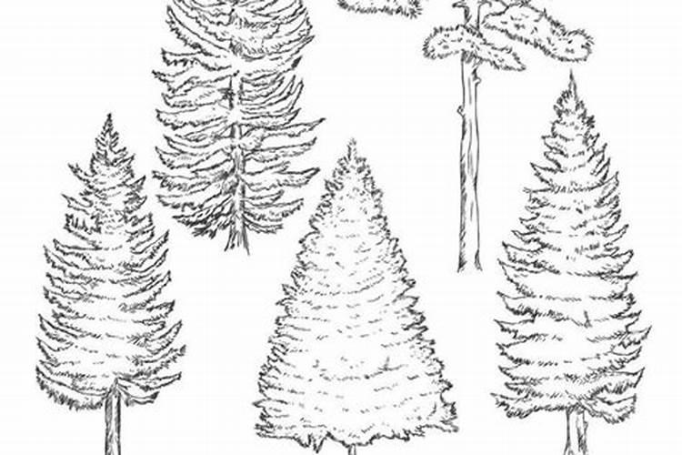 有机肥一亩地上几袋 在什么时候施比较好