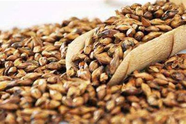 在不同水分条件下施用氮肥对小麦品质有什么作用？