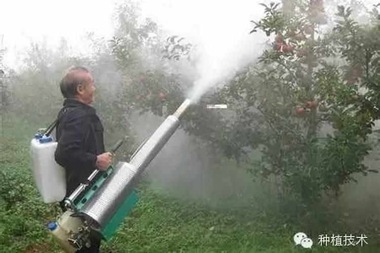 怎样给果树使用叶面肥