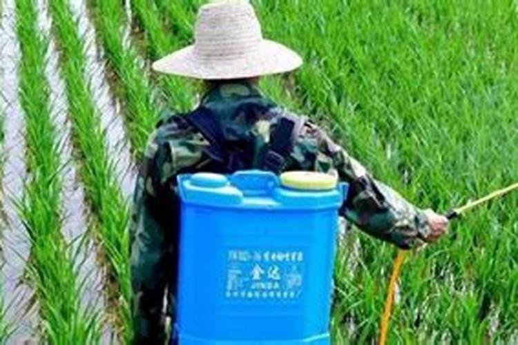 杀菌剂和杀虫剂能混用吗