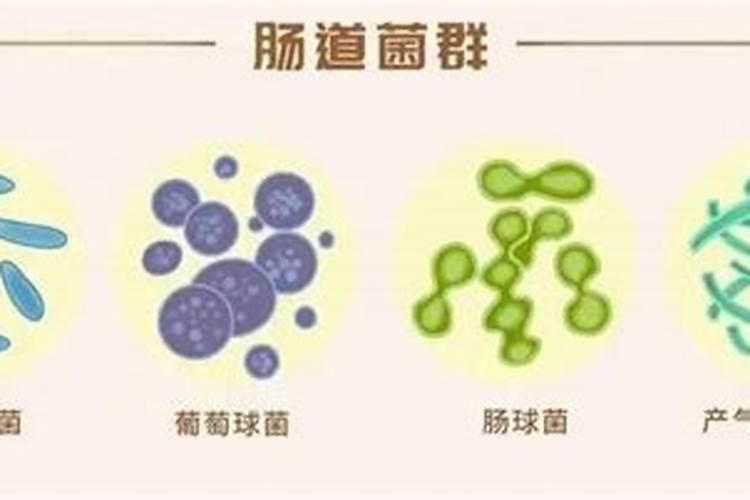 小麦真菌病害的防治方法