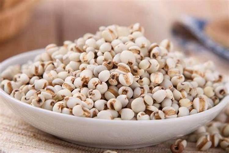 薏苡种植成本及收益