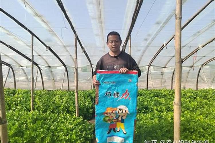 莲藕用什么肥料产量高