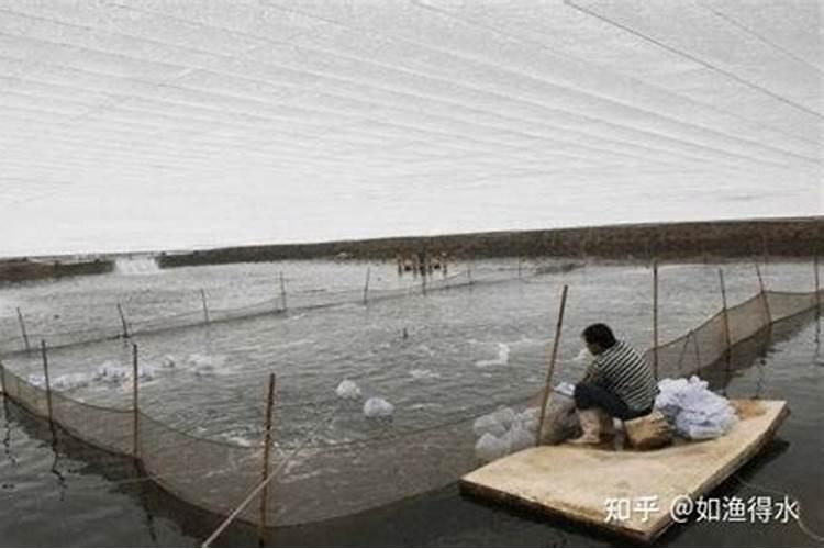 氯化钾肥,不适合在哪些作物上使用呢？为什么？