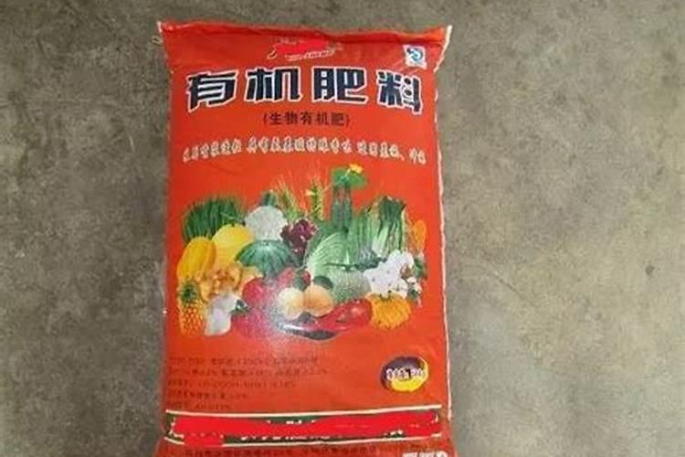 三角梅花期如何施肥