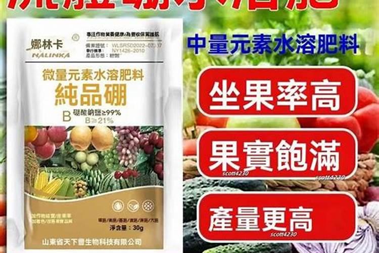 流体硼肥根施的用量