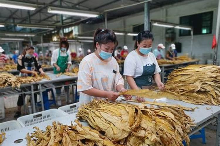 山东淄博烟草有限公司电话是多少？