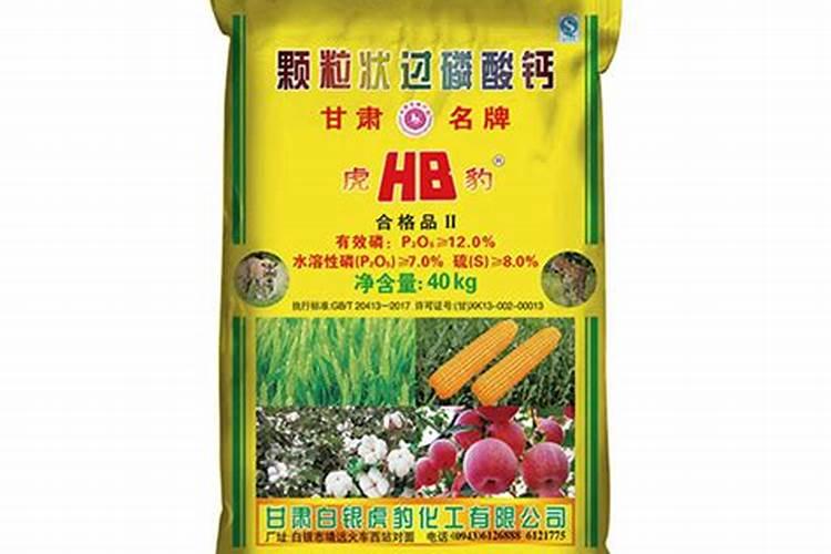 草莓移栽生根要几天,浇水保湿可7天左右生根