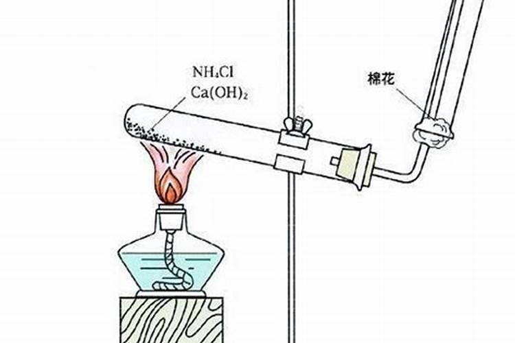 关于初中化学的问题