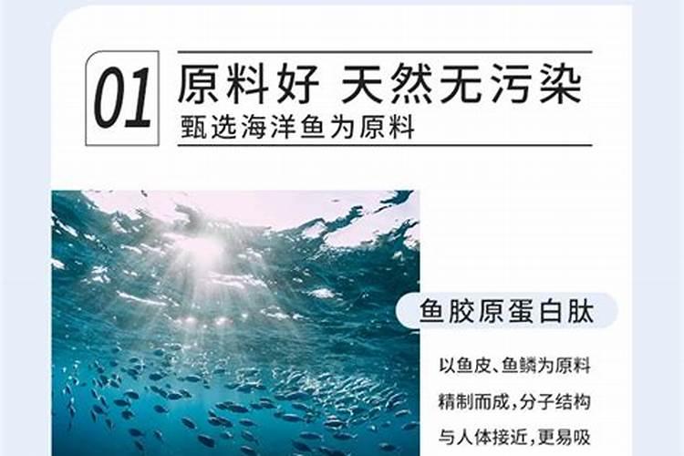 水解鱼胶原蛋白钓鱼效果怎么样？