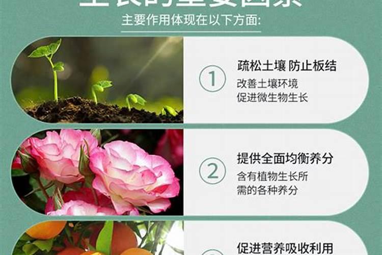 天脊腐殖酸水溶肥的作用