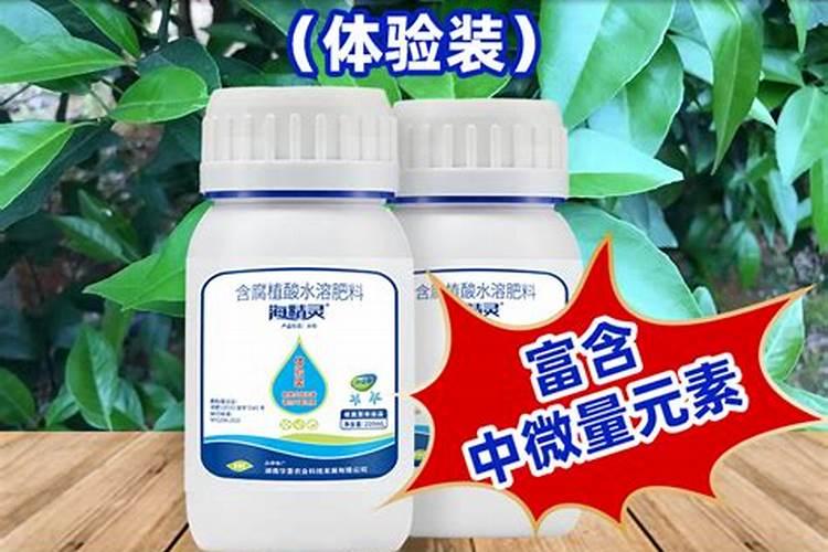 葡萄树在幼苗期间,需要施多少肥料比较合适？