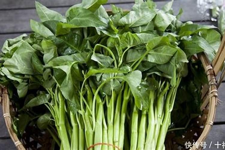 空心菜施肥用什么肥料