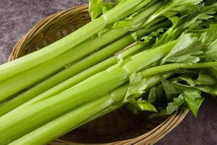 芹菜种植绝招 但是需要注意光照