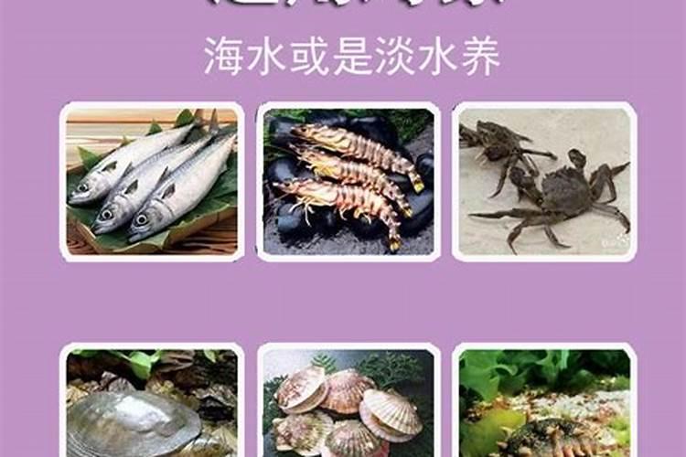 苹果树补钙的叶面肥有哪些