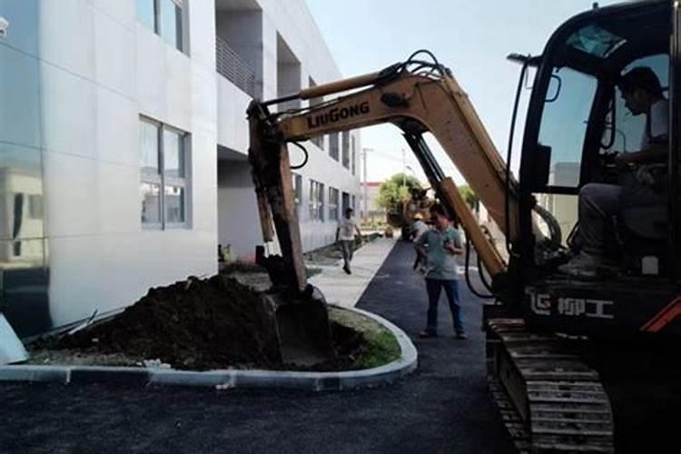 园林绿化养护费用标准是什么？