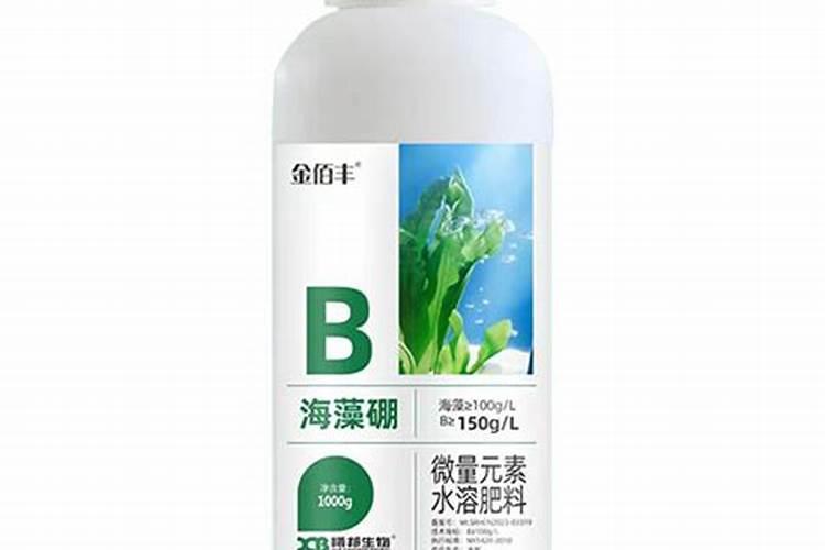 什么是海藻肥,有哪些功效 海藻肥是什么肥