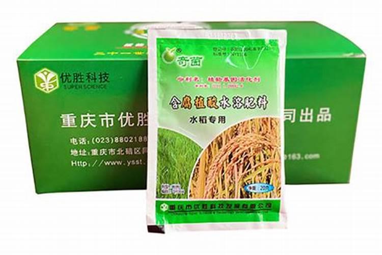 水稻优选 有机水溶肥料有哪些