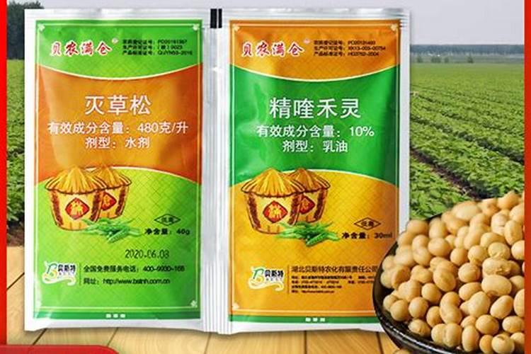 直播田喷施选择性除草剂以后几天可以喷施叶面肥