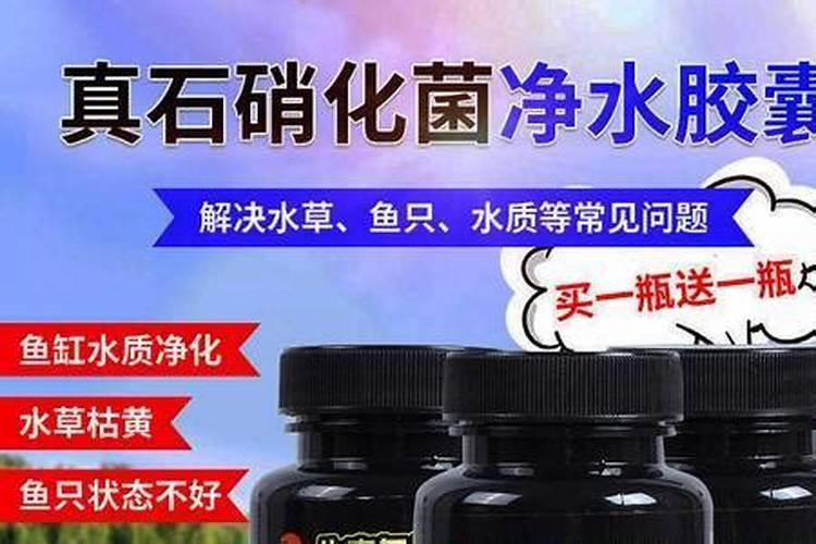 饼肥怎样施用饼肥