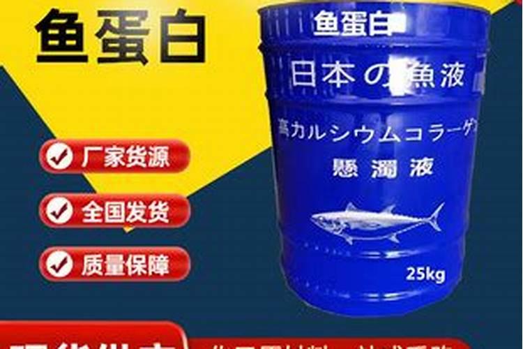 饲料猪肉粉多少钱一斤啊