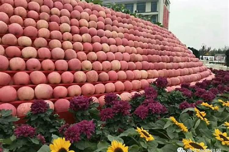 一亩烤烟用多少钾肥 什么时候施钾肥好