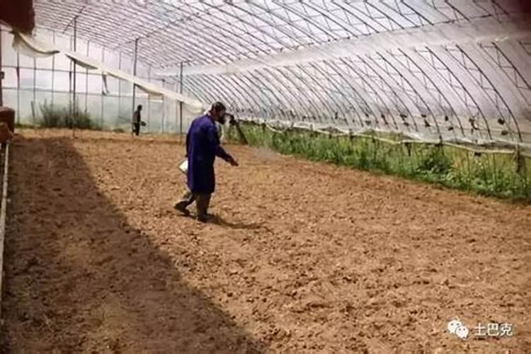 抗寒抗旱的肥料