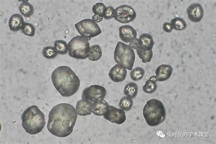大量元素水溶肥使用方法
