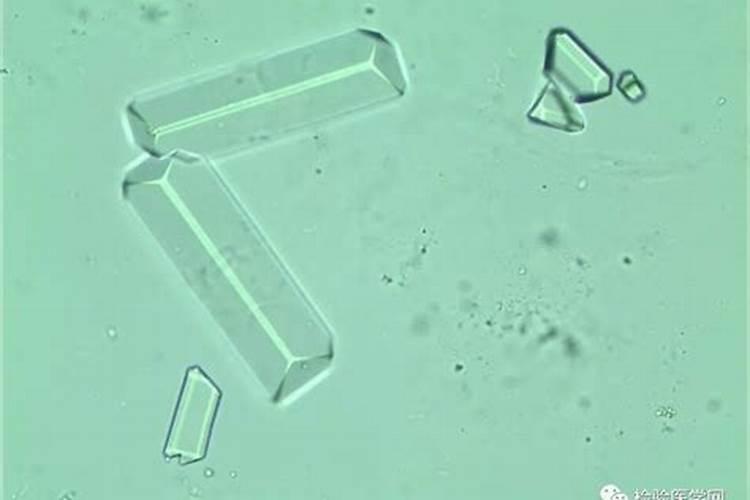 大量元素水溶肥的正确使用方法