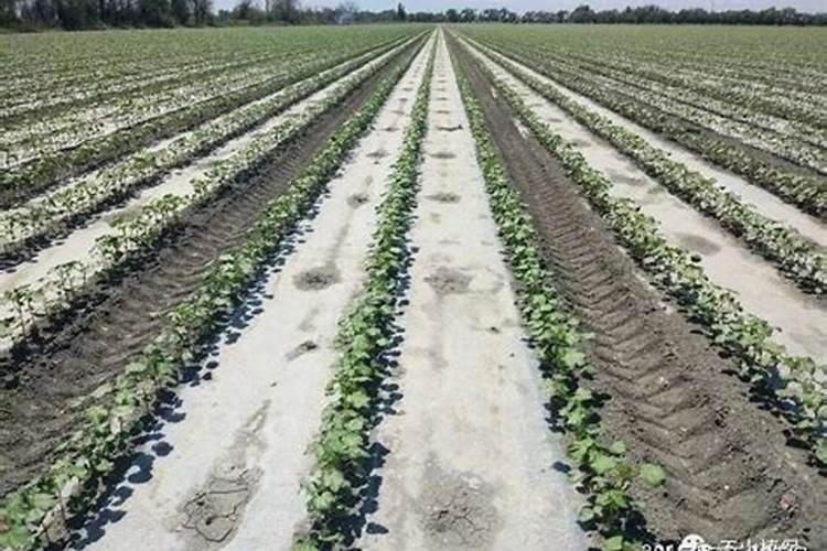 碘碘化钾试剂配置及使用