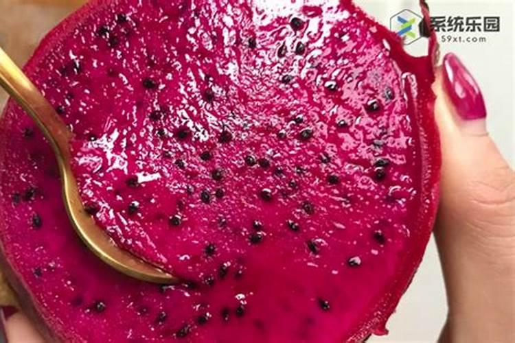 火龙果是怎么种植的？