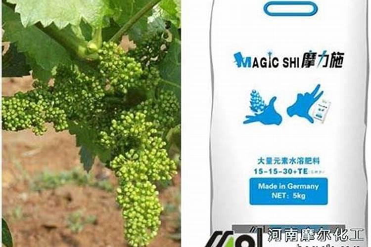 叶面肥种类有哪些,如何正确使用