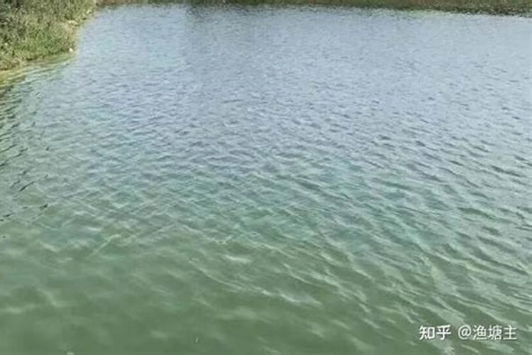 氨基酸肥水膏污染水吗？