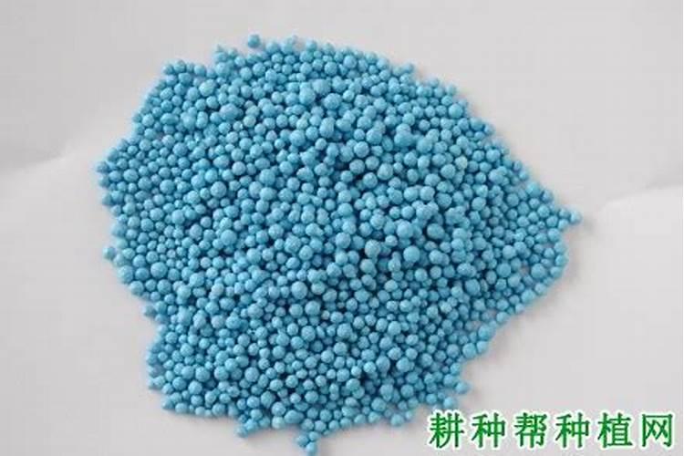 叶面施肥的好处,叶面施肥方法