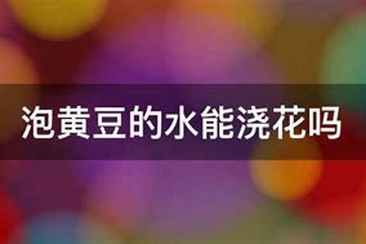 臭黄豆水是氮肥是磷肥 发酵后属于什么肥