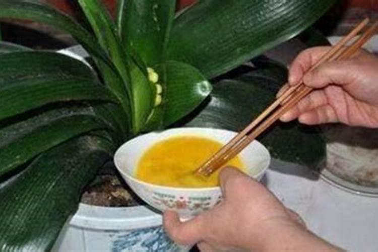 养鱼的水能浇花吗