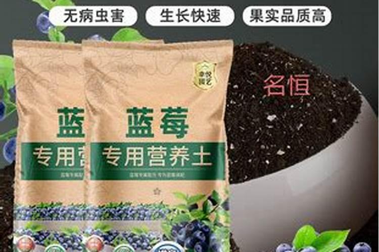 蓝莓施肥施用有机肥 蓝莓才健康