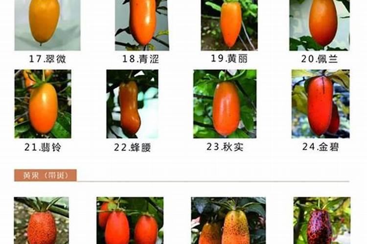 杭州哪里买泥炭土