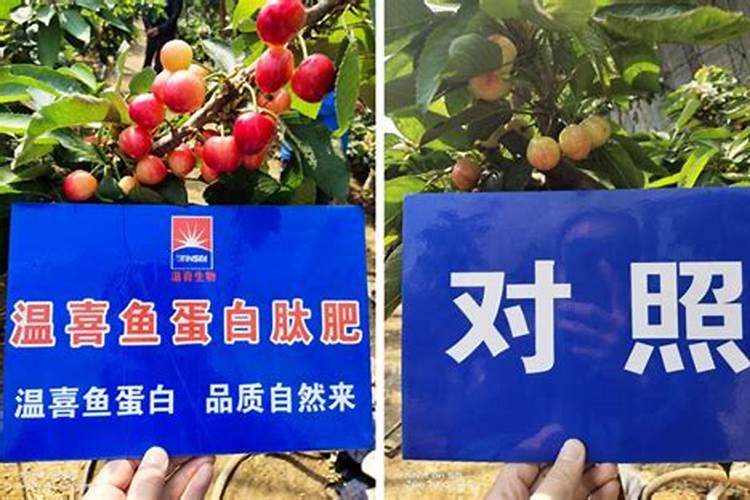 云天化磷肥一吨多少钱 云天化磷肥有什么作用