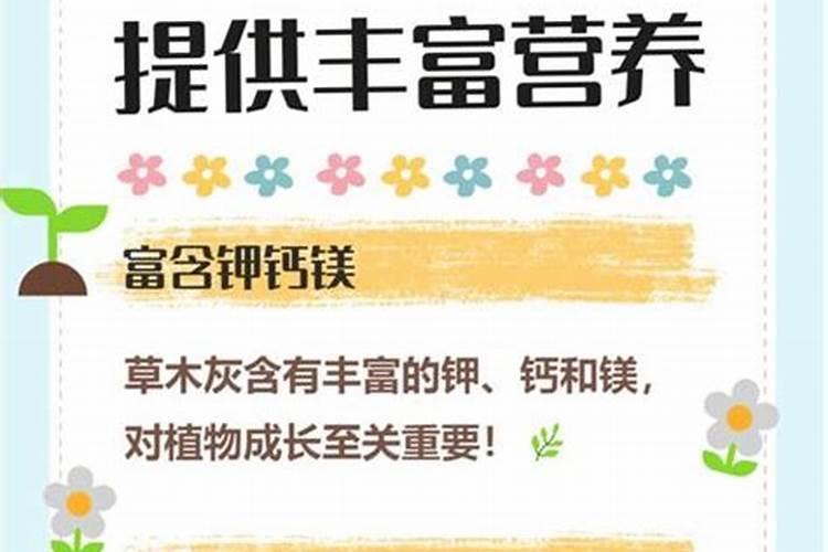 桃树干热风怎么办