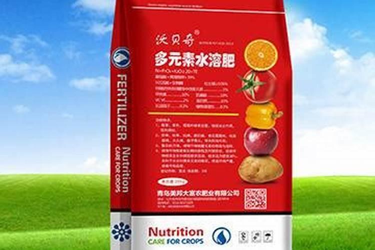 绿萝需要施什么肥