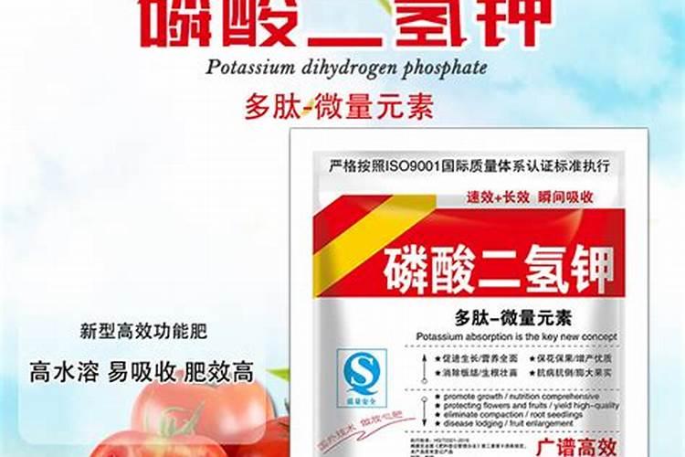 怎样根据烟草需肥特点进行施肥？