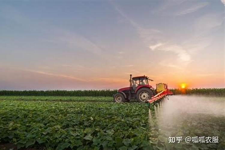 氮肥不能和什么混合使用